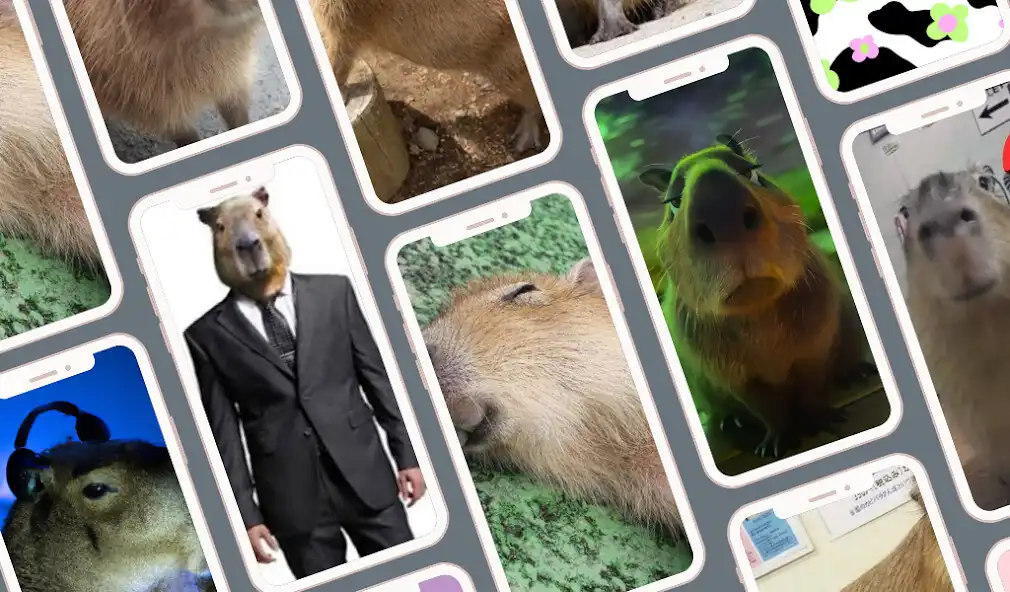 Play Capybara Wallpaper : Meme  and enjoy Capybara Wallpaper : Meme with UptoPlay