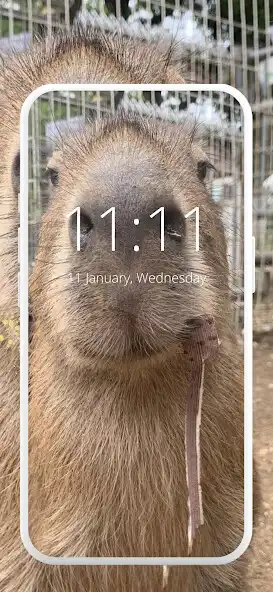 Play Capybara Wallpaper : Meme as an online game Capybara Wallpaper : Meme with UptoPlay