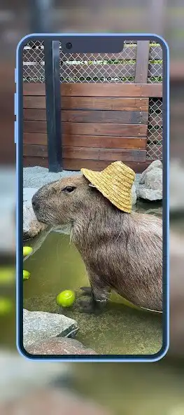 Play Capybara Wallpapers 2023 HD 4k as an online game Capybara Wallpapers 2023 HD 4k with UptoPlay