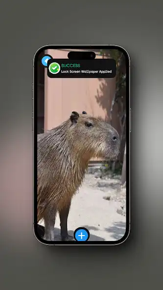 Play Capybara wallpaper as an online game Capybara wallpaper with UptoPlay