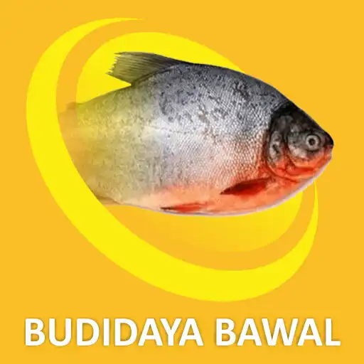 Play Cara Budidaya Ikan Bawal APK