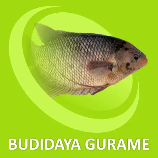 Play Cara Budidaya Ikan Gurame APK