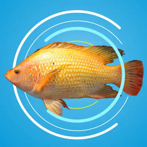 Play Cara Budidaya Ikan Nila APK