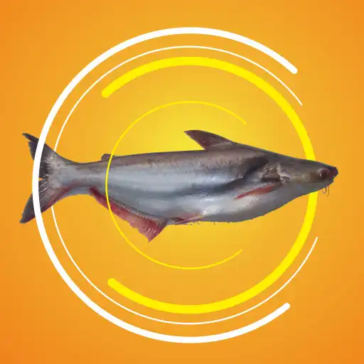 Play Cara Budidaya Ikan Patin APK