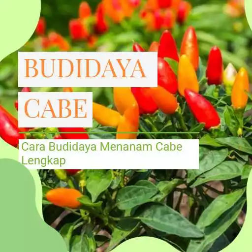 Free play online Cara Budidaya Menanam Cabe APK