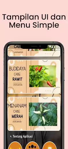 Play Cara Budidaya Menanam Cabe