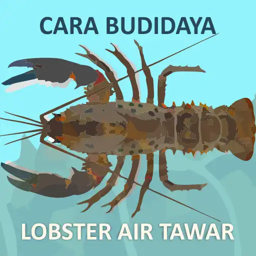 Play Cara Budidaya Ternak Lobster APK