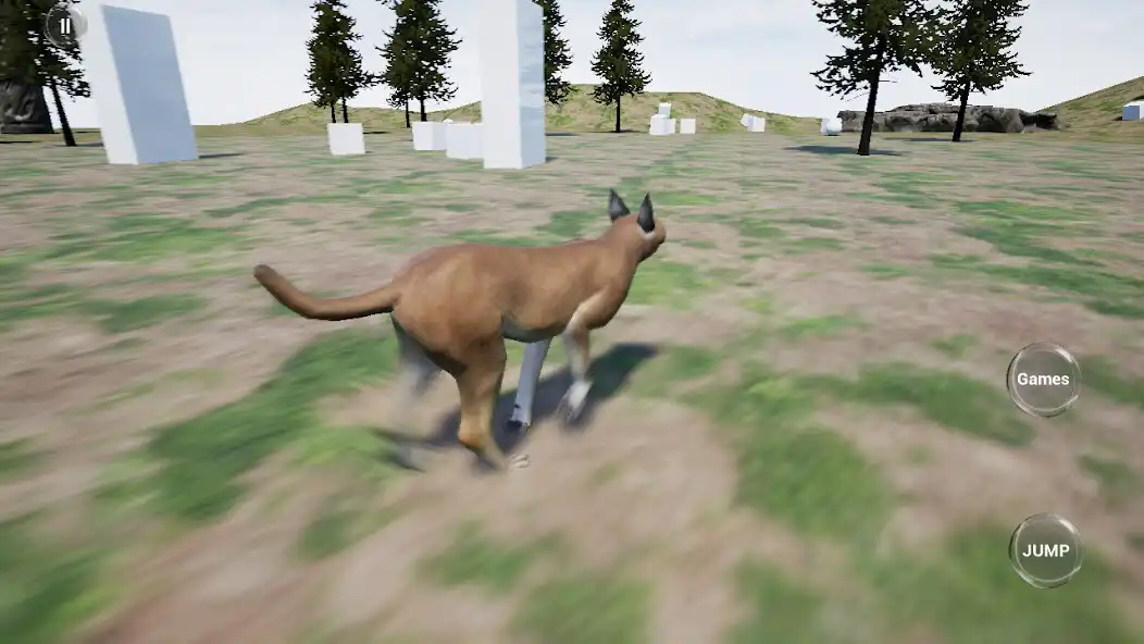 Play Caracal Cat Runner Simulator  and enjoy Caracal Cat Runner Simulator with UptoPlay