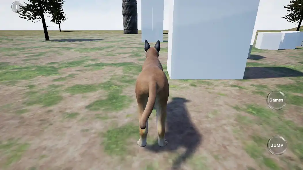 Play Caracal Cat Runner Simulator as an online game Caracal Cat Runner Simulator with UptoPlay