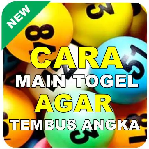 Play APK Cara Jitu Main Togel Selalu Menang  and enjoy Cara Jitu Main Togel Selalu Menang with UptoPlay com.caramaintogelagarmenangtembusangka.carinsurancecompanies