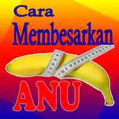 Free play online Cara Membesarkan Anu APK
