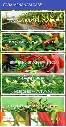 Play CARA MENANAM CABE  and enjoy CARA MENANAM CABE with UptoPlay