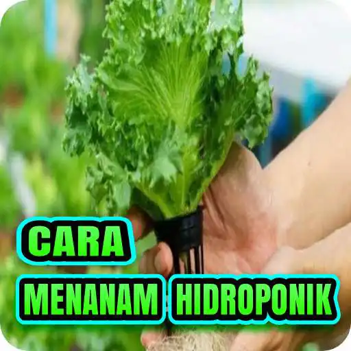 Play Cara Menanam Hidroponik Mudah  and enjoy Cara Menanam Hidroponik Mudah with UptoPlay