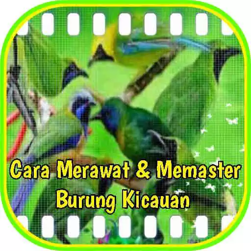 Play Cara Merawat Dan Memaster Burung Kicau