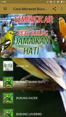 Play Cara Merawat Dan Memaster Burung Kicau