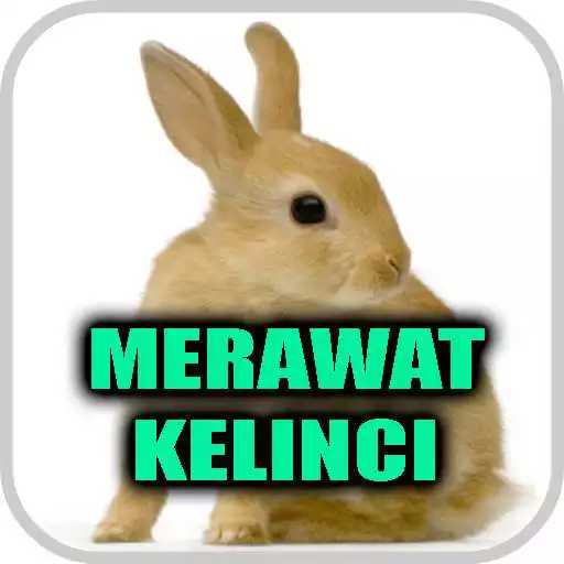 Play Cara Merawat Kelinci APK Play Cara Merawat Kelinci APK