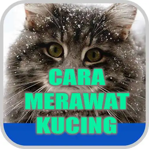 Play Cara Merawat Kucing APK Play Cara Merawat Kucing APK