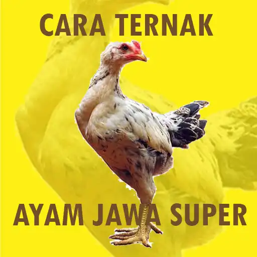 Play Cara Ternak Ayam Joper APK