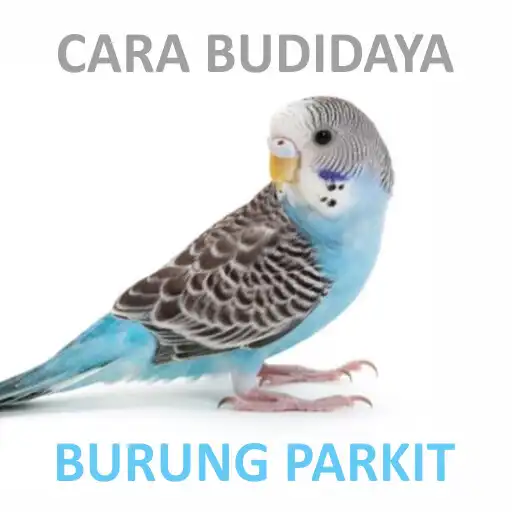 Play Cara Ternak Burung Parkit APK