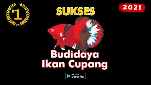 Play Cara Ternak Ikan Cupang 2021 Lengkap  and enjoy Cara Ternak Ikan Cupang 2021 Lengkap with UptoPlay