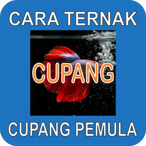 Play Cara Ternak Ikan Cupang Pemula APK Play Cara Ternak Ikan Cupang Pemula APK
