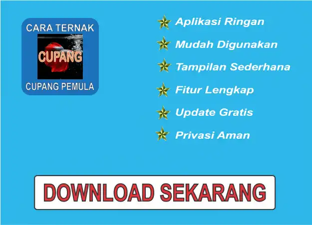 Play Cara Ternak Ikan Cupang Pemula as an online game Cara Ternak Ikan Cupang Pemula with UptoPlay