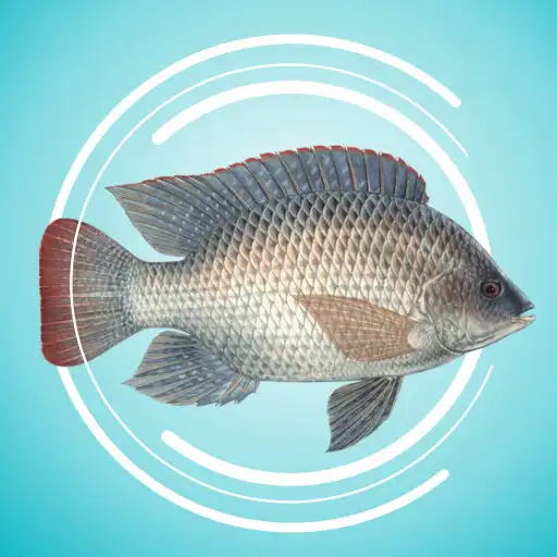 Play Cara Ternak Ikan Mujair APK