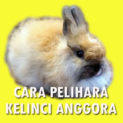 Play Cara Ternak Kelinci Anggora APK