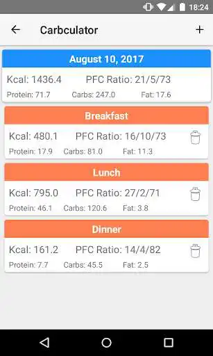 Play Carbculator as an online game Carbculator with UptoPlay