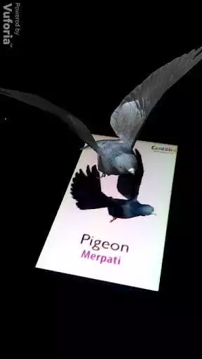 Play CardBird