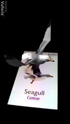 Play CardBird