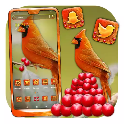 Play Cardinal Bird Launcher Theme APK
