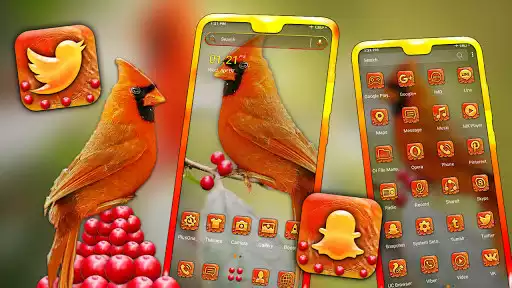 Play Cardinal Bird Launcher Theme  and enjoy Cardinal Bird Launcher Theme with UptoPlay