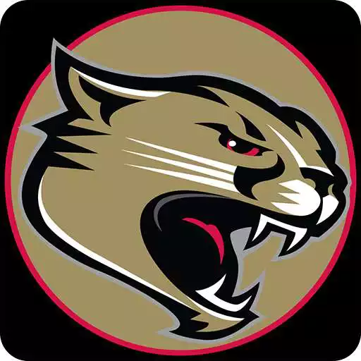 Play Cardinal Mooney High School APK