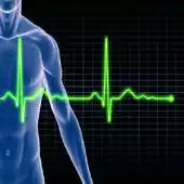 Free play online CardioFitCalculator APK