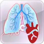 Free play online Cardiopulmonary Murmur APK