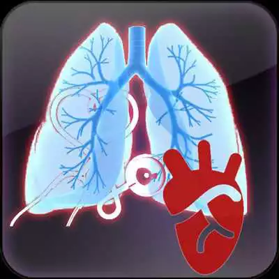 Play Cardiopulmonary Murmur Play Cardiopulmonary Murmur