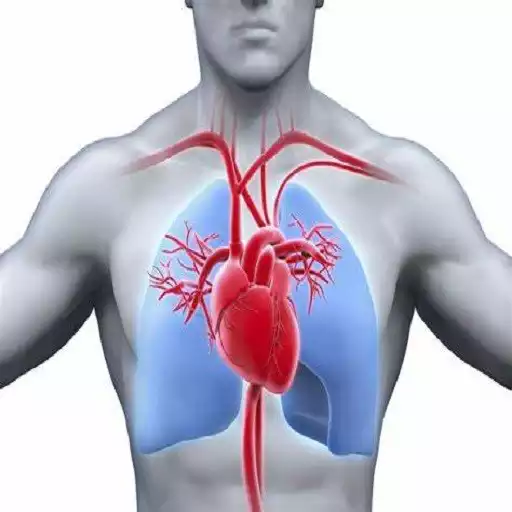 Play Cardiopulmonary Sounds APK Play Cardiopulmonary Sounds APK