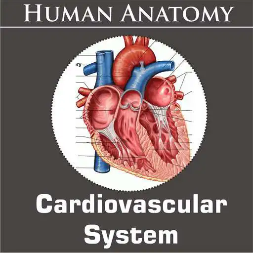Run free android online Cardiovascular System APK Run free android online Cardiovascular System APK