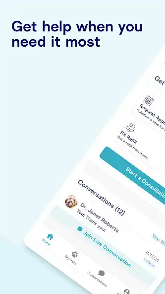 Play Care for Pet Parents  and enjoy Care for Pet Parents with UptoPlay