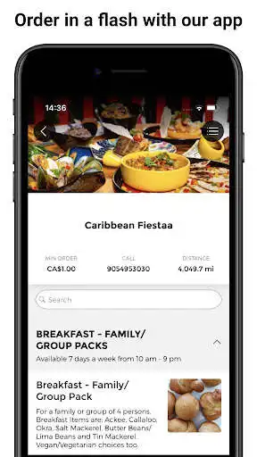 Play Caribbean Fiestaa  and enjoy Caribbean Fiestaa with UptoPlay