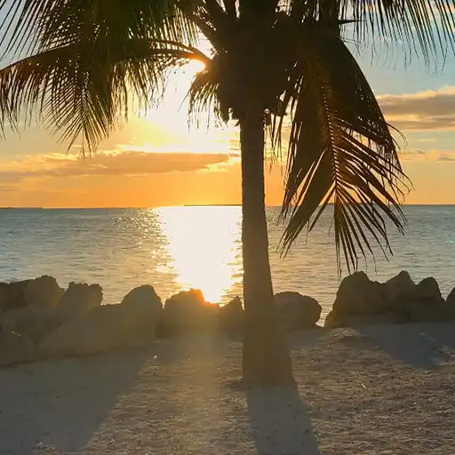 Free play online Caribbean Wallpaper APK