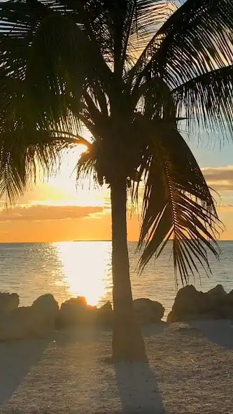 Play Caribbean Wallpaper