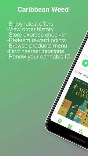 Play Caribbean Weed  and enjoy Caribbean Weed with UptoPlay Play Caribbean Weed  and enjoy Caribbean Weed with UptoPlay