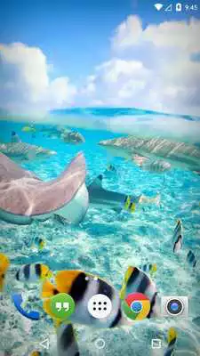 Play Caribe Island Ocean Tropic