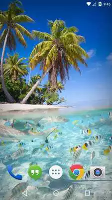 Play Caribe Island Ocean Tropic