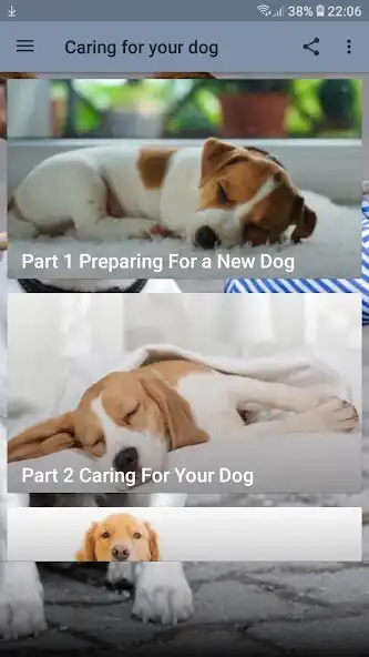 Play Caring for your dog and enjoy Caring for your dog with UptoPlay Play Caring for your dog and enjoy Caring for your dog with UptoPlay