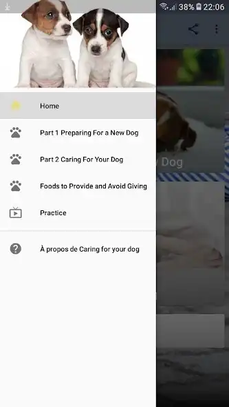 Play Caring for your dog as an online game online Caring for your dog with UptoPlay Play Caring for your dog as an online game Caring for your dog with UptoPlay