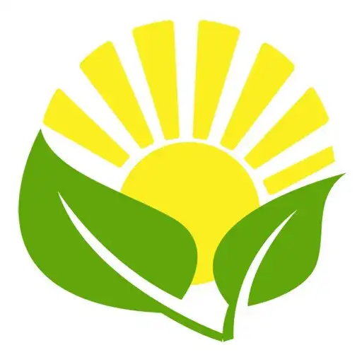 Play Caring Sunshine APK