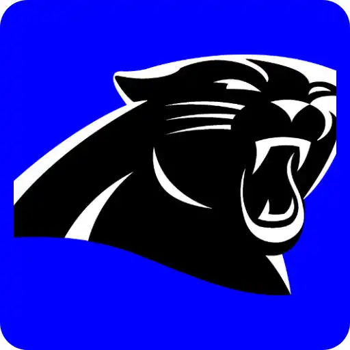 Play Carolina Panthers - Football Q APK